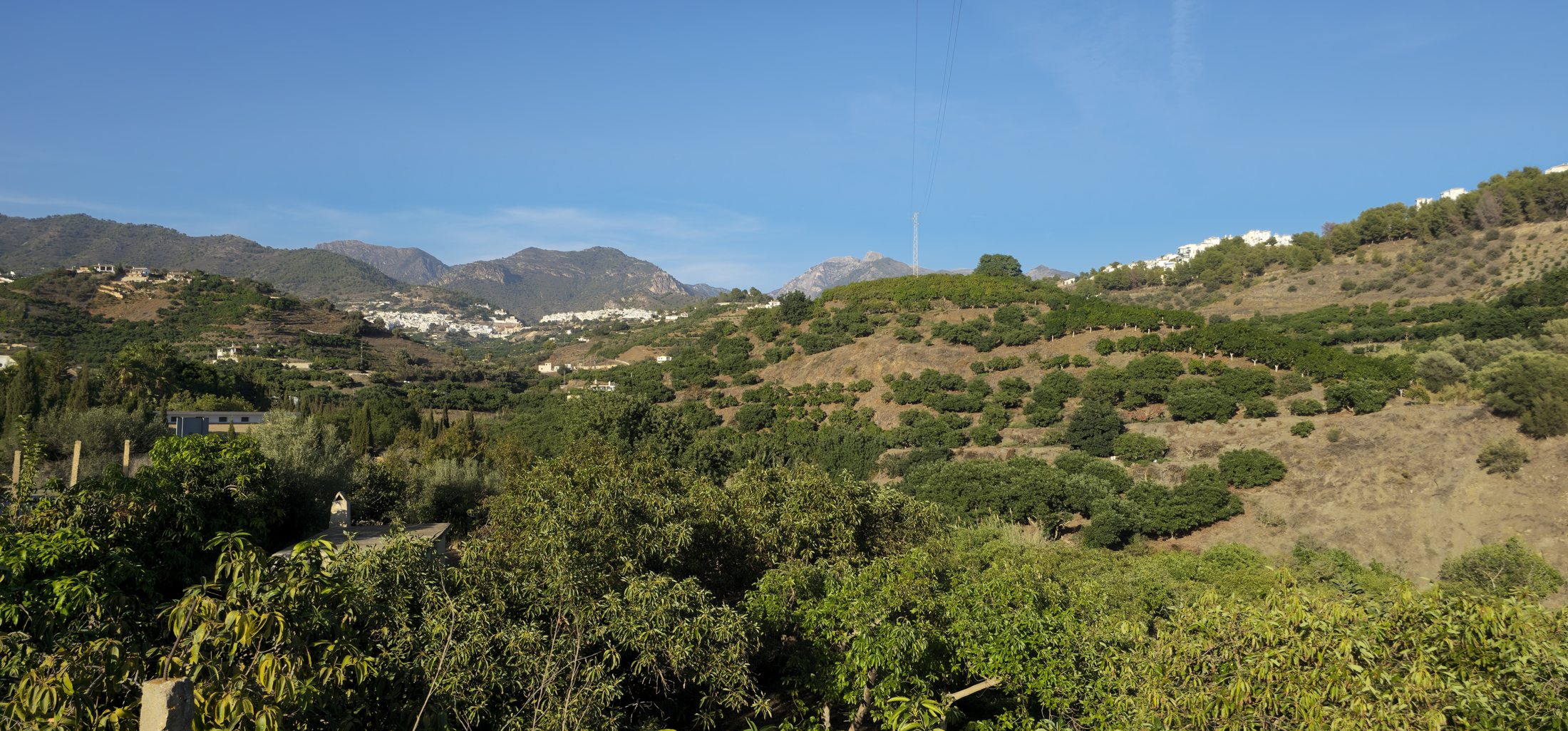 Terrassen der Axarquía